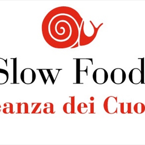 cucina cucina