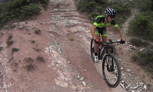 Escursioni in E-Bike